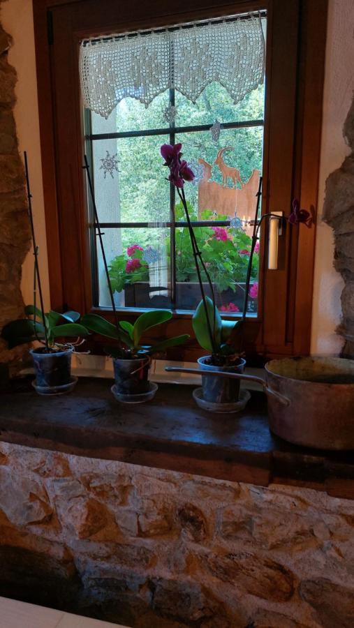 Bed and Breakfast Beb Luca76 Avise Exterior foto