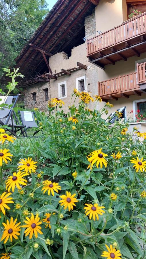 Bed and Breakfast Beb Luca76 Avise Exterior foto